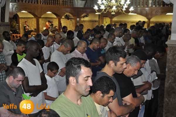 trawe7 mahmodiya 713 (39).JPG